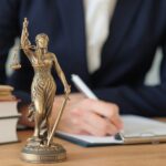 Opiniestuk Stijn Verbist in De Tijd 30.08.2018: Rechtsbescherming tegen overheid is essentieel (reactie op opiniestuk Leo Neels)
